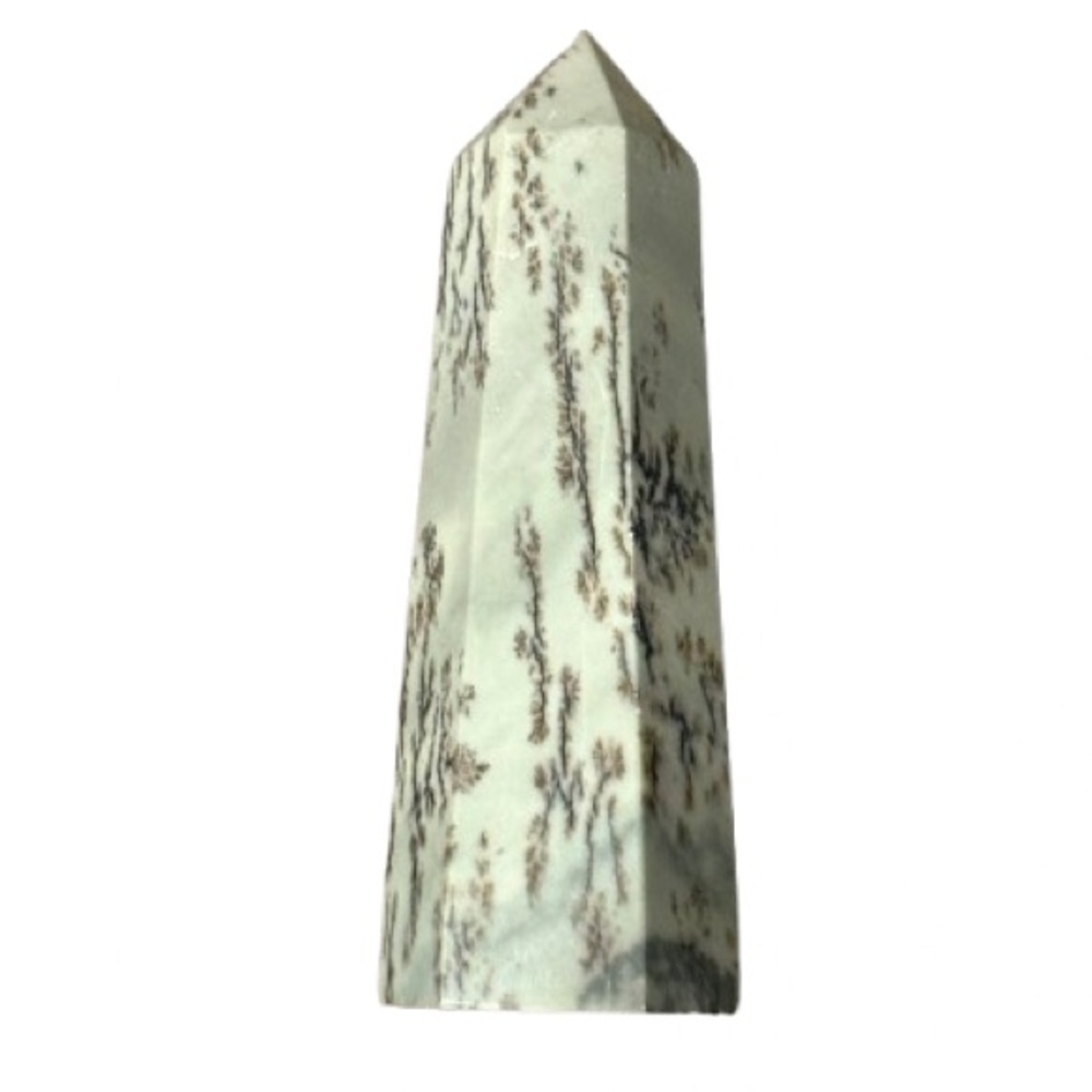 Picture Jasper